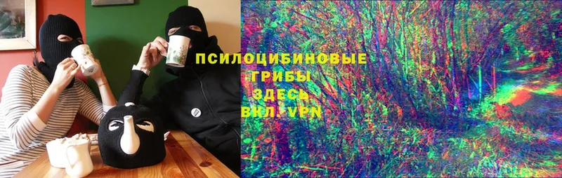 Галлюциногенные грибы GOLDEN TEACHER  ОМГ ОМГ ссылка  Велиж 